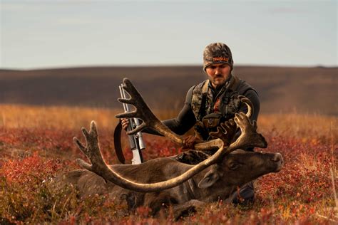 Drury Outdoors - Caribou Down in the Heart of Grizzly Country! 2018-08