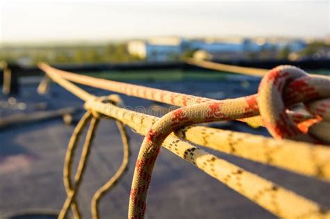 Closeup Stretched And Tied Industrial Braided Rope Stock Image Image
