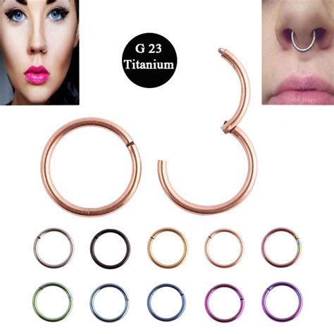 Buy G23 Titanium 16g Nose Rings Hinged Segment Ring