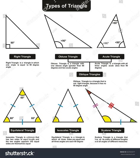 Different Types Of Triangles With Definitions Angles Infographic Diagram Including Right Obtuse