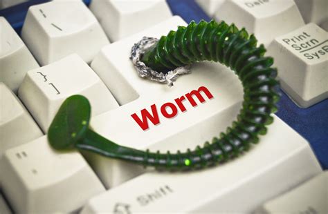 Learn what a distributed system is, how it works, pros and cons, distributed architecture, and more with examples. What is a Computer Worm? - Software Tested
