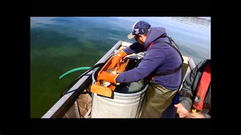 Dnr Fish Survey On Chain O Lakes Youtube