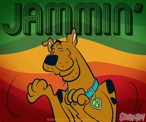 Watch Cartoons Cartoons Comics Scooby Doo Images Tom And Jerry Tv