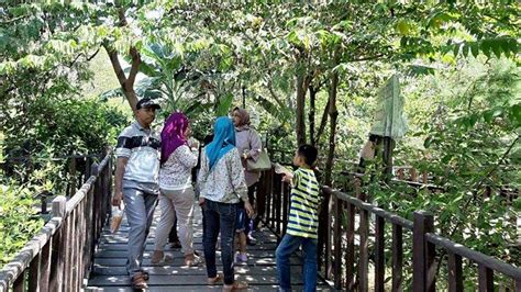Hutan Mangrove Wonorejo Destinasi Wisata Alam Untuk Libur Lebaran