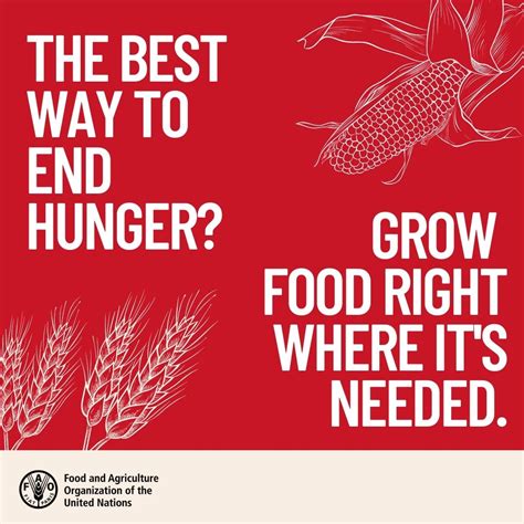 Fao In Emergencies On Twitter Acute Food Insecurity Has Sky Rocketed