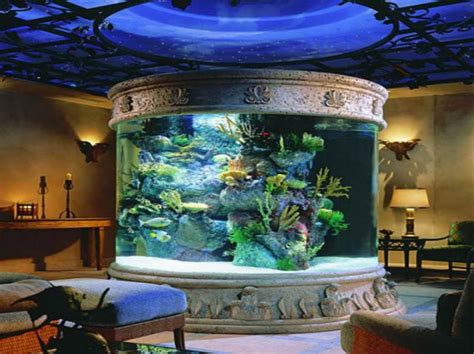 You can have interesting furniture, but the little touches give a home its personality. Home aquarium: the best size and location - Home And ...