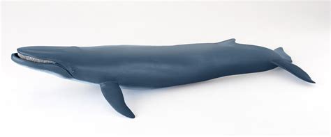 Papo Marine Life Papo Blue Whale 56037