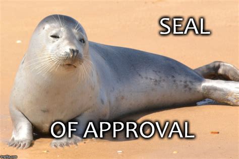 Image Tagged In Seal Of Approval Imgflip