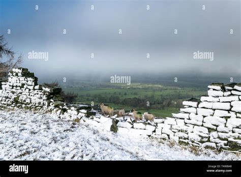Yorkshire Moors In Winter Hi Res Stock Photography And Images Alamy