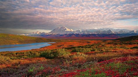 Landscape Denali National Park Alaska Desktop Wallpaper Hd