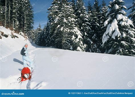 Woman Pulling Sled In Snow Stock Photo Image Of Sunshine 12211362