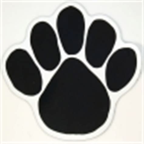 Mountain Lions Paw Prints Have Four Toes - The Nittany Turkey