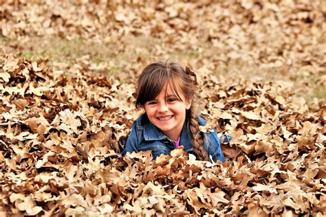 Little Girl Playing In Leaves Free Stock Photo Public Domain Pictures