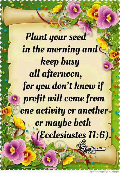 Plant Your Seed In The Morning