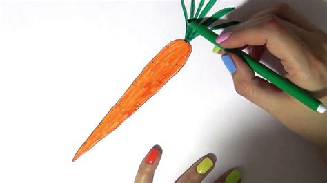 Kako Se Crta šargarepa Kак рисовать морковь Youtube
