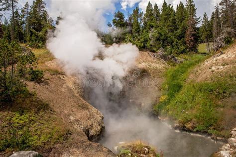 Steam Rising From Hot Springs In Yellowstone Stock Photo Image Of