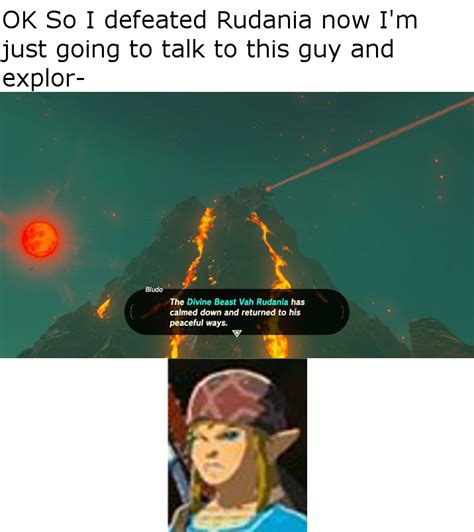 Princess Zelda BOTW Meme