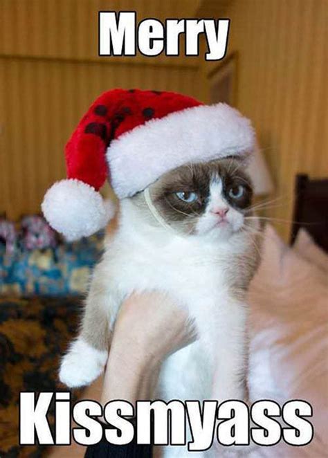 Were At That Time Of The Year Again Grumpy Cat Christmas Grumpy
