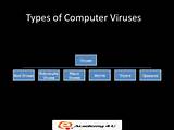 What Are The Types Of Computer Virus Photos