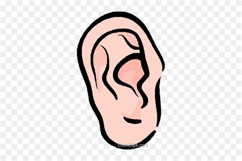 Human Ear Royalty Free Vector Clip Art Illustration Clip Art Free