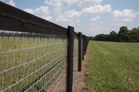 Mesh Horse Fence Ramm Horse Fencing Artofit