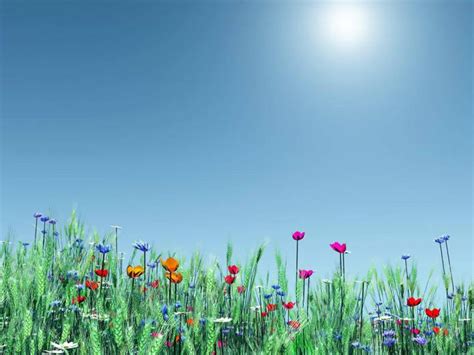 Free Download Nature Wallpapers Of Spring Nature Hd Wallpapers Of