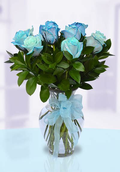 Choose Dozen Blue Roses Send In Dubai Uae Onlineflowershopae