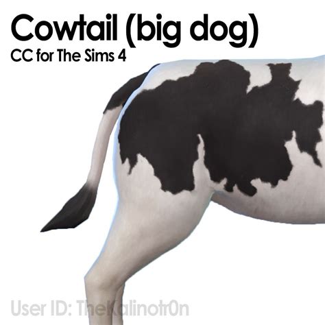 A Black And White Cow Standing Next To The Words Cowtail Big Dog Cc For