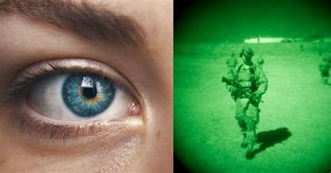Humans To Get Night Vision With Just One Injection In The Eye Heres How