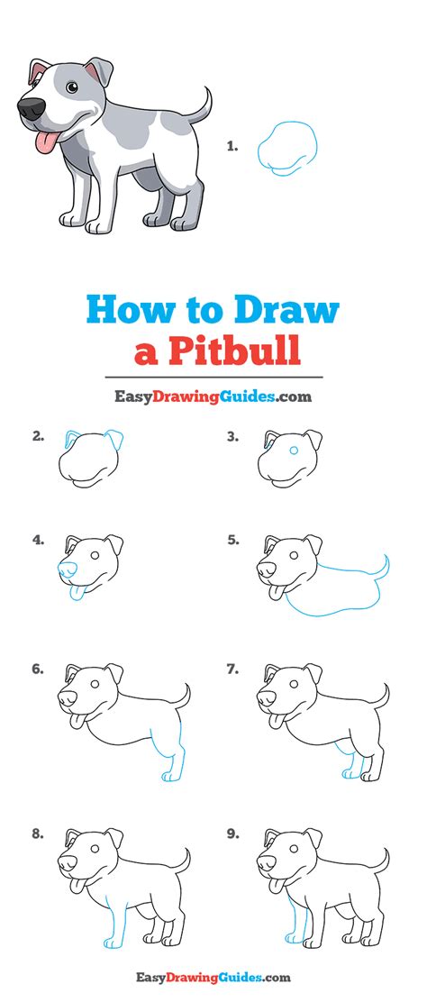 Drawing tutorials for kids and beginners. How to Draw a Pitbull - Really Easy Drawing Tutorial