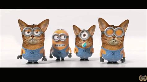 Minions Banana Song Cat Minion Version Youtube