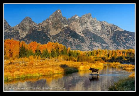 Fall Color In Grand Teton National Park ©jack Graham Photography
