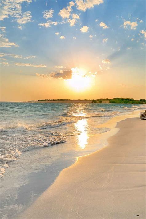 Sunny Beach Ocean Beach The Ocean Ocean Sunset Summer Beach The