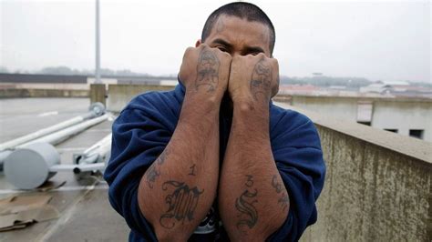 What Is Ms 13 And Why Is It So Scary Howstuffworks