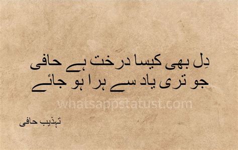Best Tehzeeb Hafi Poetry In Urdu 500 Tehzeeb Hafi Shayari Images