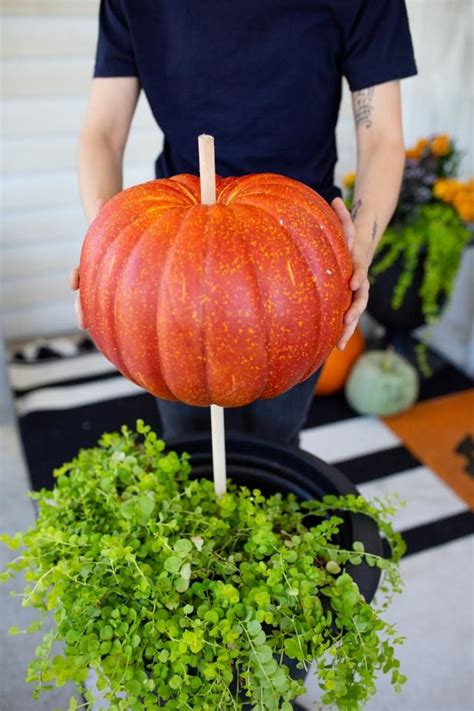 3 Ways To Put Outdoor Planters To Good Use This Halloween Halloween