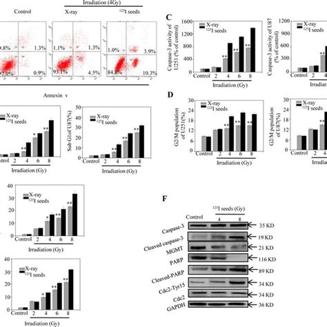 Apoptosis And G2m Arrest In Glioblastoma Multiforme Gbm Cells Is