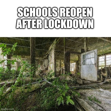 Schools Reopen After Lockdown Rmemes