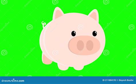 2d Animation Pig Dancing On Green Screen Chroma Key Stock Footage
