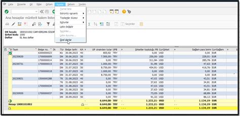 Image 10 Sap Uzman Sap Fi Sap Co Sap Sd Sap Mm Sap Hr Sap Pp