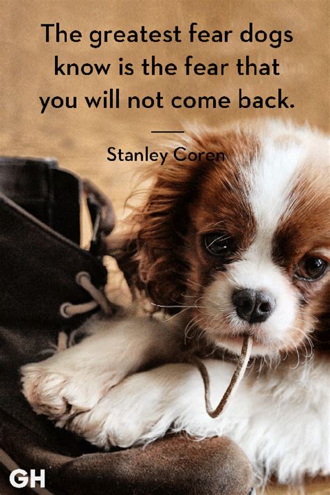 30 Dog Quotes That Every Animal Lover Will Relate To Best Dog Quotes