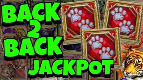Back 2 Back Rare Bonuses Jackpot Hand Pay On Cats Slot Machine High