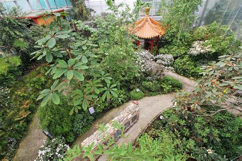Die traditionsreichen botanischen gärten in niedersachsen und bremen gehen heute über das konventionelle angebot hinaus, widmen sich umfangreichen experimenten und der ökologischen forschung. Bremen Botanischer Garten : Rhododendron Park Bremen In ...