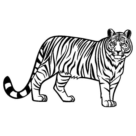 Bilder Zum Ausmalen Tiger Besten Bilder Von Ausmabilder