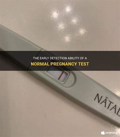 The Early Detection Ability Of A Normal Pregnancy Test Shunchild