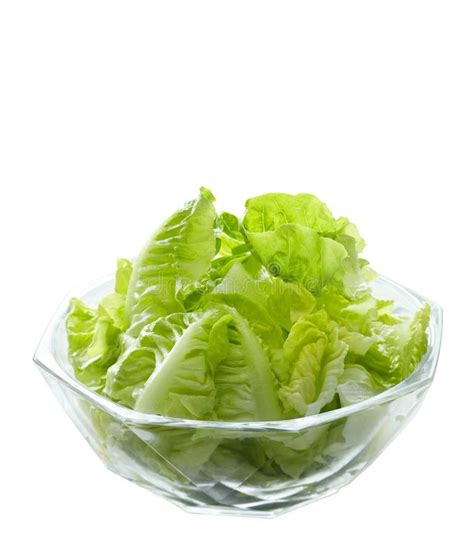 Lettuce Salad In Glass Bowl Stock Image Image 44880687