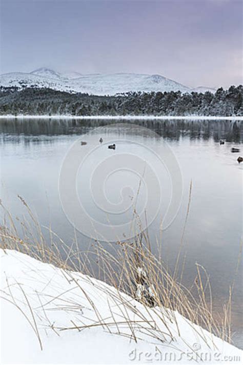 Loch Morlich In The Cairngorms National Park Of Scotland Stock Image