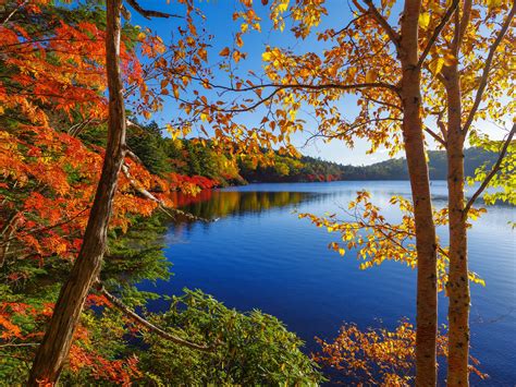 Autumn Lake Trees Forest Sky Wallpaper Nature And Landscape