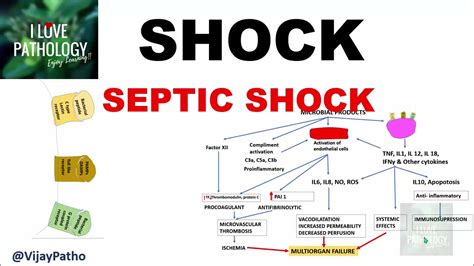 Shock Types Pathogenesis Of Septic Shock Youtube