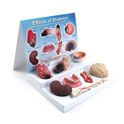 Health Education Products & Materials | Health Edco US